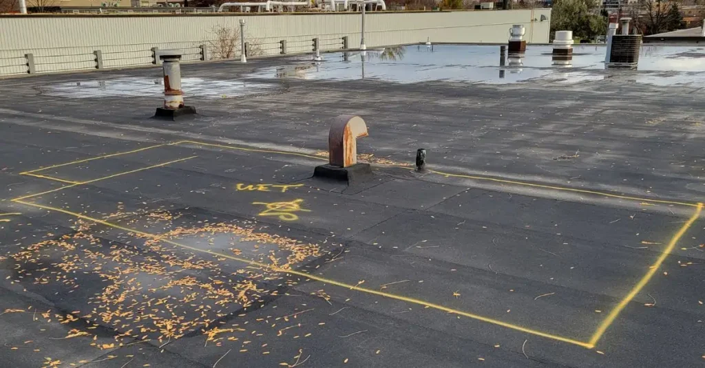7 Signs of Commercial Roof Problems